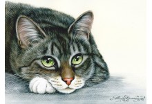 Летуценнік