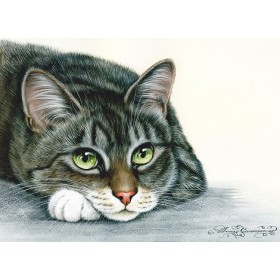 Летуценнік Летуценнік