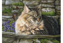 Не заўважаючы матыля