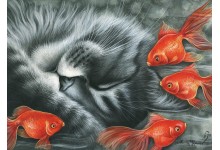 Каляровыя сны