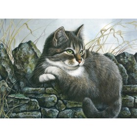 Замшелая стена