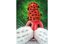 Утрымліваю раўнавагу