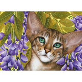 Гліцынія Гліцынія