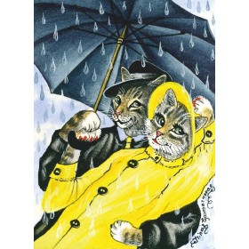 Песні пад дажджом