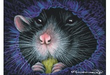 Утульныя шкарпэткі-1