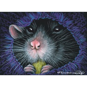 Утульныя шкарпэткі-1