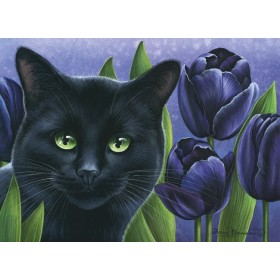 Чорныя цюльпаны