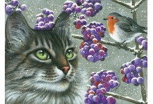 Красивоплодник