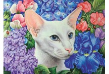 Вясновы сад