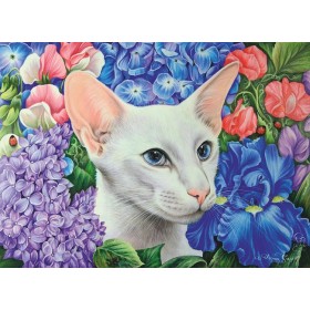 Вясновы сад