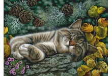 Зацішны куток