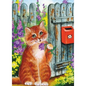 Ці ёсць сёння пошта? Ці ёсць сёння пошта?