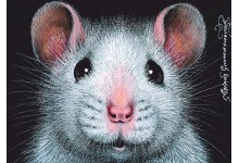 Фота на пашпарт