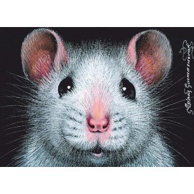 Фота на пашпарт