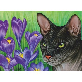 Шафран Шафран