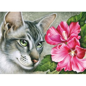 Гібіскус Гібіскус