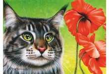 Чыровны мак