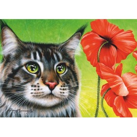 Чыровны мак