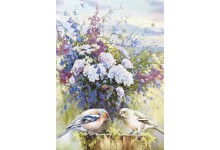 Ахапак лугавых кветак