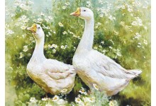 Жылі ў бабулі