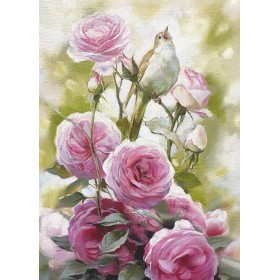 Песня салаўя Песня салаўя