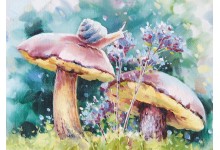 Слімаковая радасць 