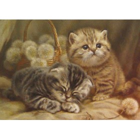 Дзьмухаўцы