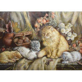 Цёплы кацябр