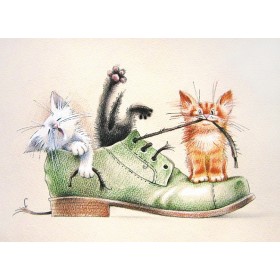 Былі ў гаспадара новыя чаравікі...