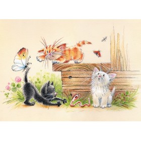 Прывітанне, лецішча!