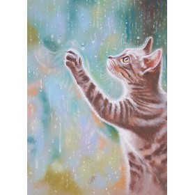 Дождж Дождж