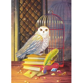 Сава і таямнічыя кнігі