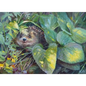 Лапухі Лапухі