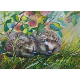 Яблычныя вожыкі Яблычныя вожыкі