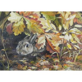 Пра дапытлівага зайца