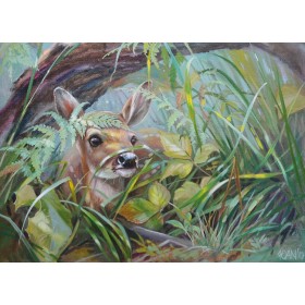 Схаваўся Схаваўся