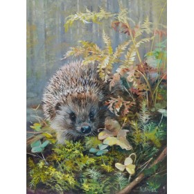 Вожык на схіле Вожык на схіле