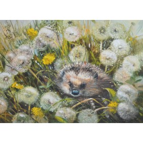 Заблудзіўся