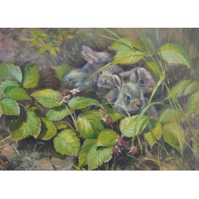 Мы не баязліўцы! Мы не баязліўцы!