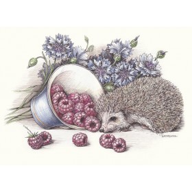 Водар лясной маліны