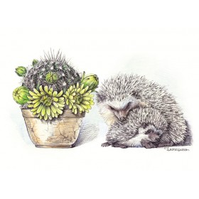 Шчасце ў гармоніі Шчасце ў гармоніі