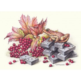 Каліна чырвоная