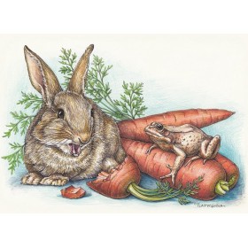 Мая морква Мая морква