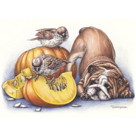 Пачастунак