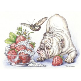 Трускаўка з вяршкамі Трускаўка з вяршкамі