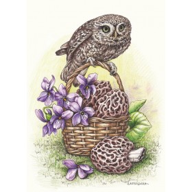 У вясновым лесе