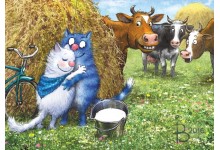 Паштовы раман. Сіняя хустачка